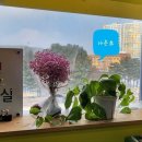 가온초등학교 앞 횡단보도 이미지