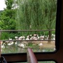 시티즌랜드 이미지