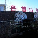 은행나무주유소 이미지