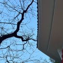 칙칙폭폭 | 봄의 길 해운대 아틀리에 칙칙폭폭 관람 후기(구 해운대역, 해리단길 가볼만한 곳)