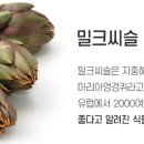 이너파워
