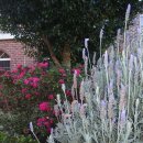 우리보금자리 이미지