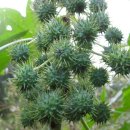 청담휘트니스 이미지