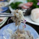 완도회집 이미지