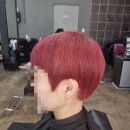 헤어코코 이미지