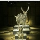 주식회사아라리오 이미지