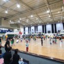 아이숲유치원 이미지