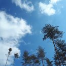 미리내농장 이미지