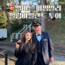 (주)브룩사이드 | 멜버른 퍼핑빌리 투어 / 펭귄 필립아일랜드 꼭 방문해야할 명소