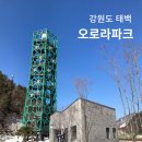 태백파크 | 강원도 태백 여행 오로라파크 눈꽃전망대 후기