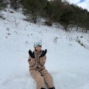 인생 첫 스노우보드.. 준비부터 후기까지 (1/25 @휘닉스파크 평창)
