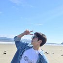 송모바일