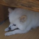 연무체육공원 이미지