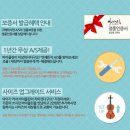 통기타(입문) | 다양한 사이즈를 가진 연습용 바이올린추천, 수업용 바이올린 티커스텀 바리우스1