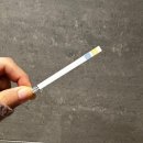 영광중기 | 기록 20-24주 : 임신 중기 아랫배 땡김 증상, 첫 태동 느낌, 정밀초음파/임당검사 후기, 드디어 매직셋팅