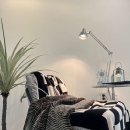 브이아이핏 이미지