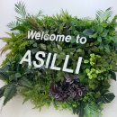 레푸스앤네일 이미지