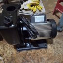 사파동430 이미지