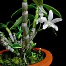 화대농장 이미지