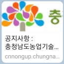백필농장 이미지