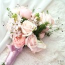 오월N장미 이미지