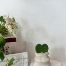 김포한강2로23번길-L | 방학 키즈클래스 추천 김포공방 봉봉스튜디오 화분만들기 체험 후기