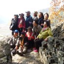 의령-의령-의령-D-7 이미지