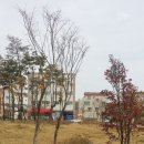 운천카센타 네이버블로그