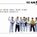 Team 태권도장