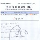 조은동물의료원 이미지