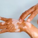 공들인하루 이미지