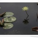 서일농장 이미지