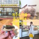 춘심이네 | 제주도 오메기떡 맛집 공항 근처 춘심이네 택배 제주도 선물