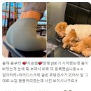바디빚다 이미지