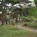 통나무풍경펜션 이미지