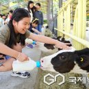 주중초등학교 이미지