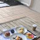 거금아일랜드 | 호주 신혼여행 기록🇦🇺 해밀턴아일랜드 3탄: 하트리프투어(헬기+크루즈) 후기