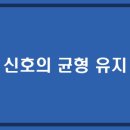 애드바이스 - 마포구 월드컵북로 375 | 애드바이스