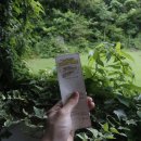 제일고기국수 이미지