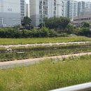 인동 만세광장 | [2박3일 대전 혼자여행 1부] 여름은 적당한 것을 넘기지 못하고 기어코 끓게 만든다. 나는 여름이 정말...