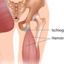 탄탄신경외과재활의학과의원 | 좌골점액낭염 치유기(8) 2025년 한해동안 도움 받았던 병원들