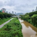 운중천(좌로) 이미지