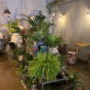 은행동제9공영주차장 | [대전] 카페 루스티카, 대전 은행동점