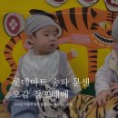 롯데마트 송파점 | 롯데마트 송파점 오감 점프베베(8-13개월) 이유경 강사님