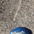 제주 올레길 5코스 이미지