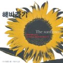 해바라기 - 제주시 조함해안로 60-1 | 해바라기
