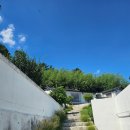 구릉 연가 이미지