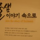 영월 Y파크(술샘박물관) 이미지