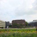 T.스테이션 송현점 | 데이트/ 광화문 가성비 맛집 신라스테이 카페 브런치 뷔페/ 안국 열린송현 서울 도시건축 비엔날레 2025