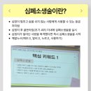 성북구보건소 | [성북구보건소] 심폐소생술교육후기